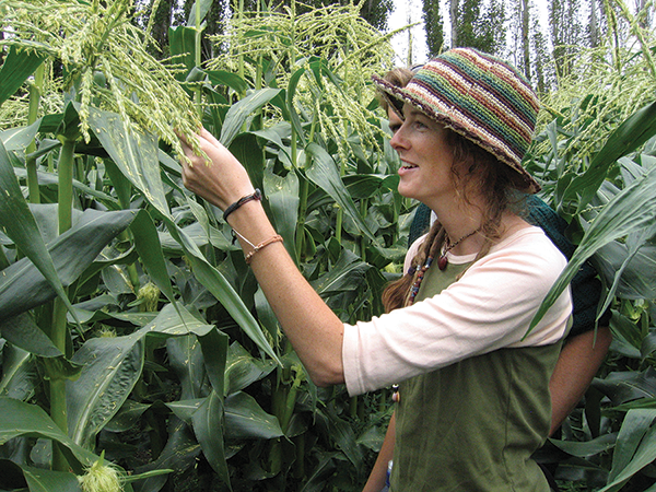 diploma-organic-agri-food-production-teaser-image