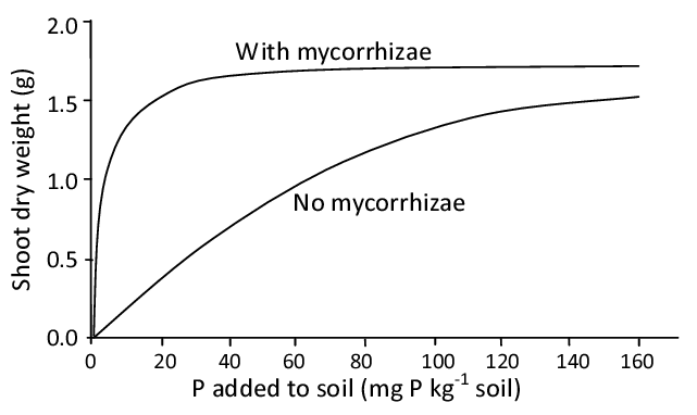 fig5
